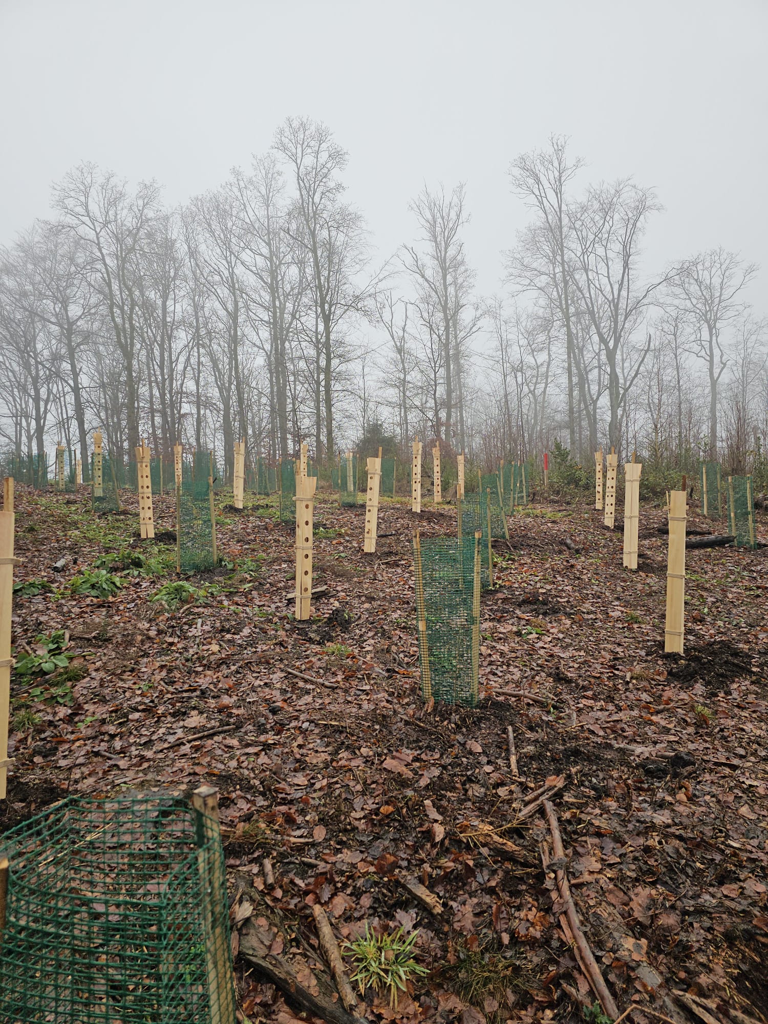 WhatsApp Image 2025-12-14 at 21.28.17