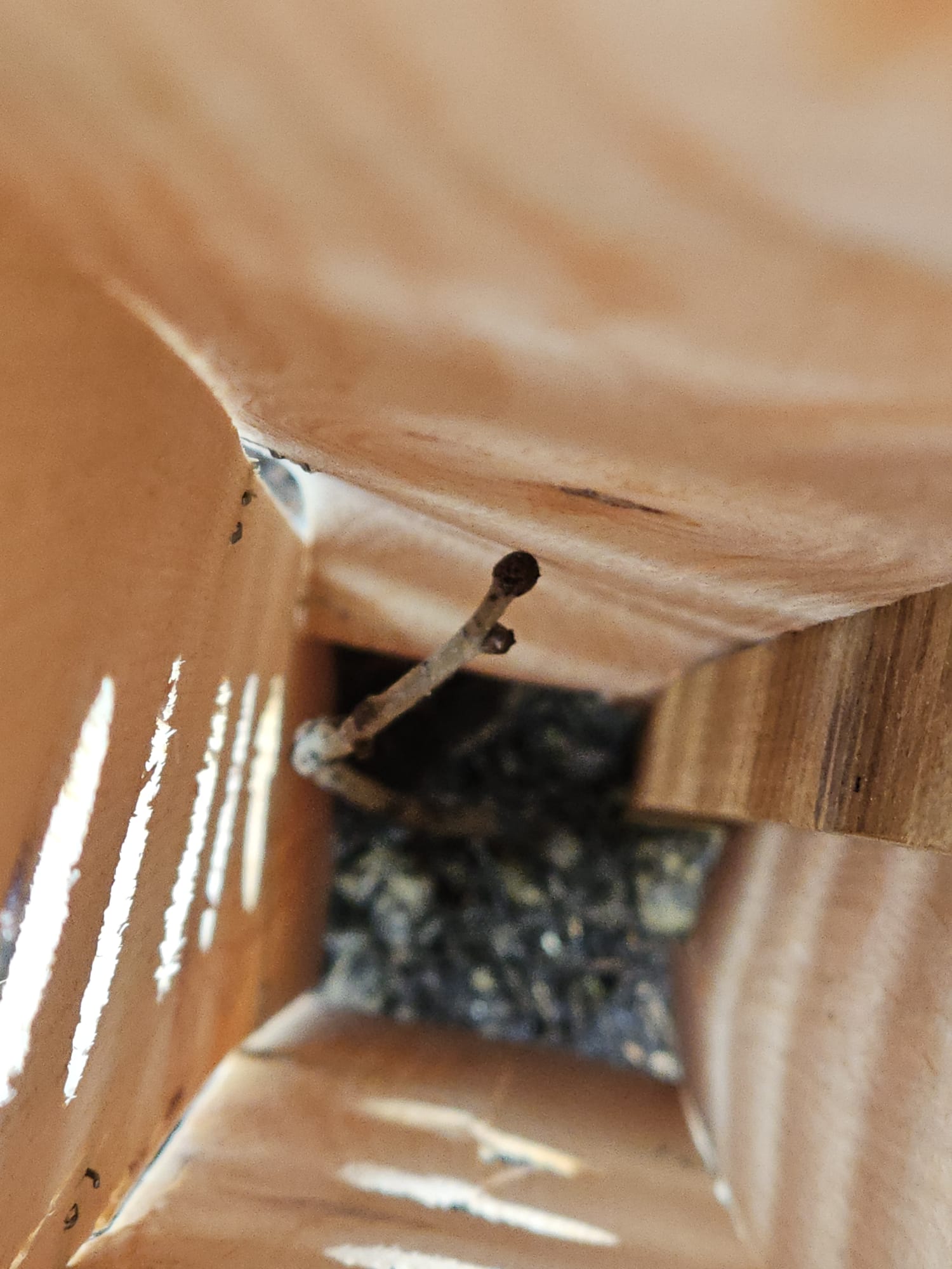 WhatsApp Image 2025-12-14 at 21.28.19