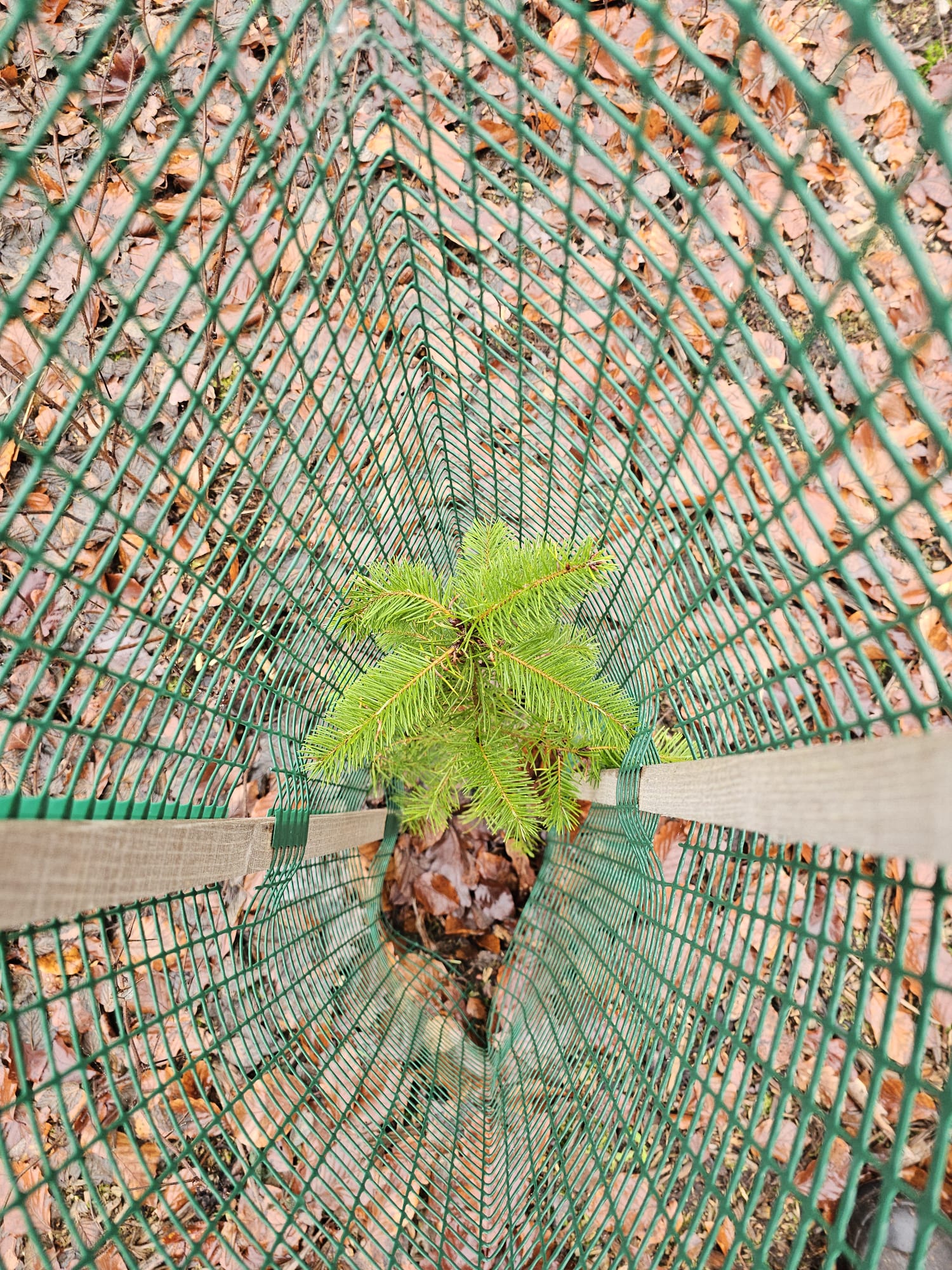 WhatsApp Image 2025-12-14 at 21.28.21 (1)