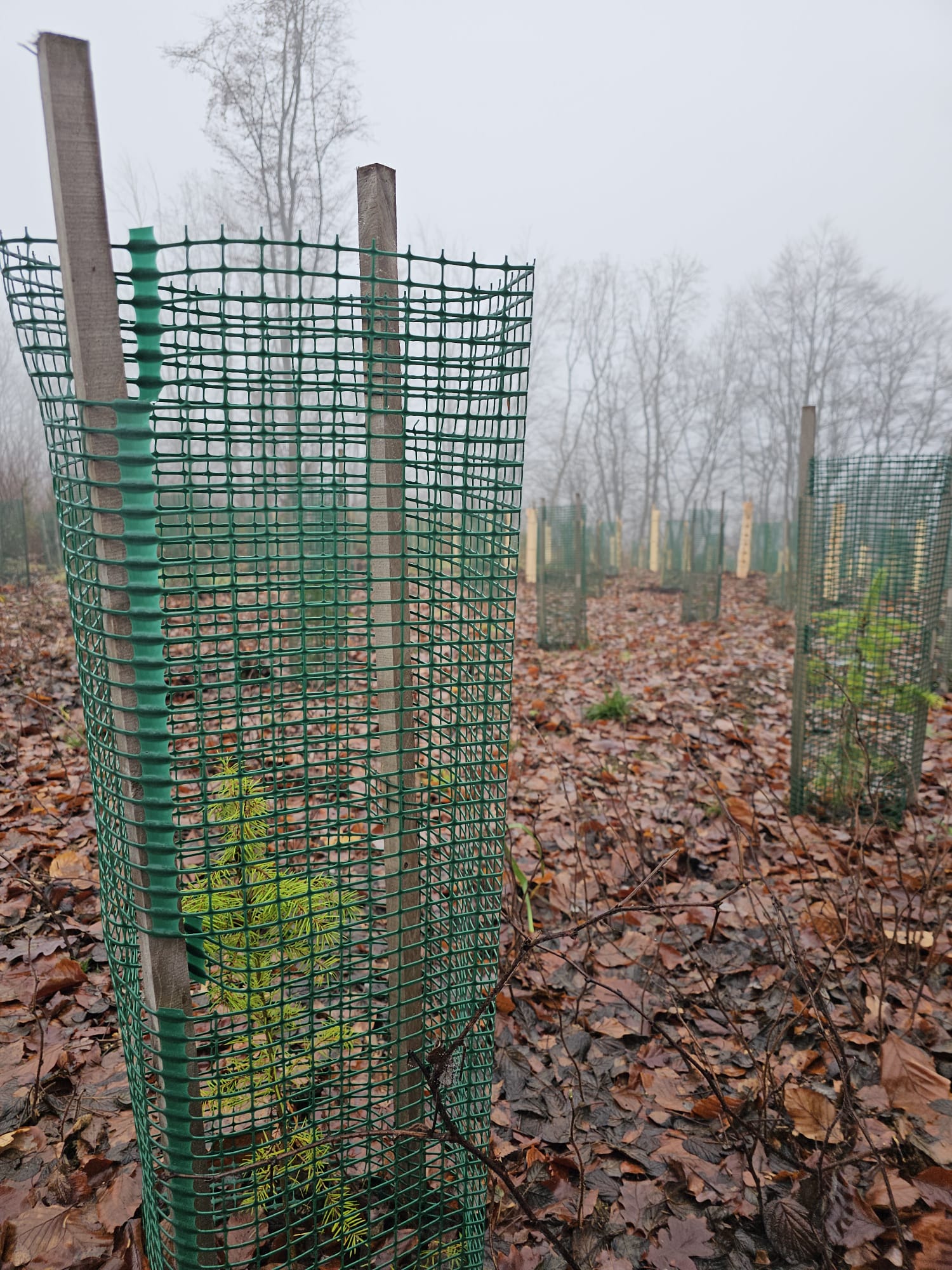 WhatsApp Image 2025-12-14 at 21.28.21 (2)