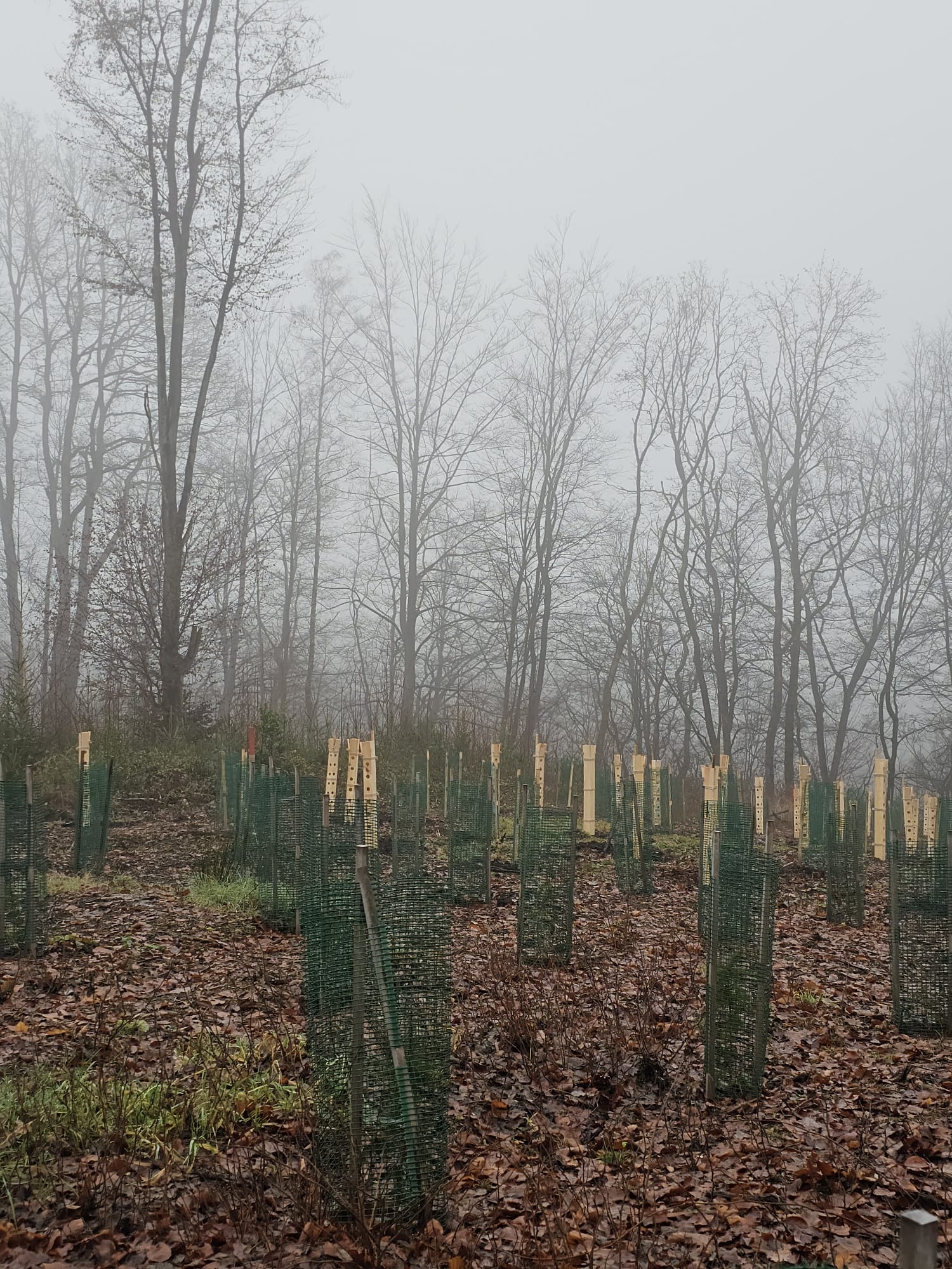 WhatsApp Image 2025-12-14 at 21.28.21 (3)