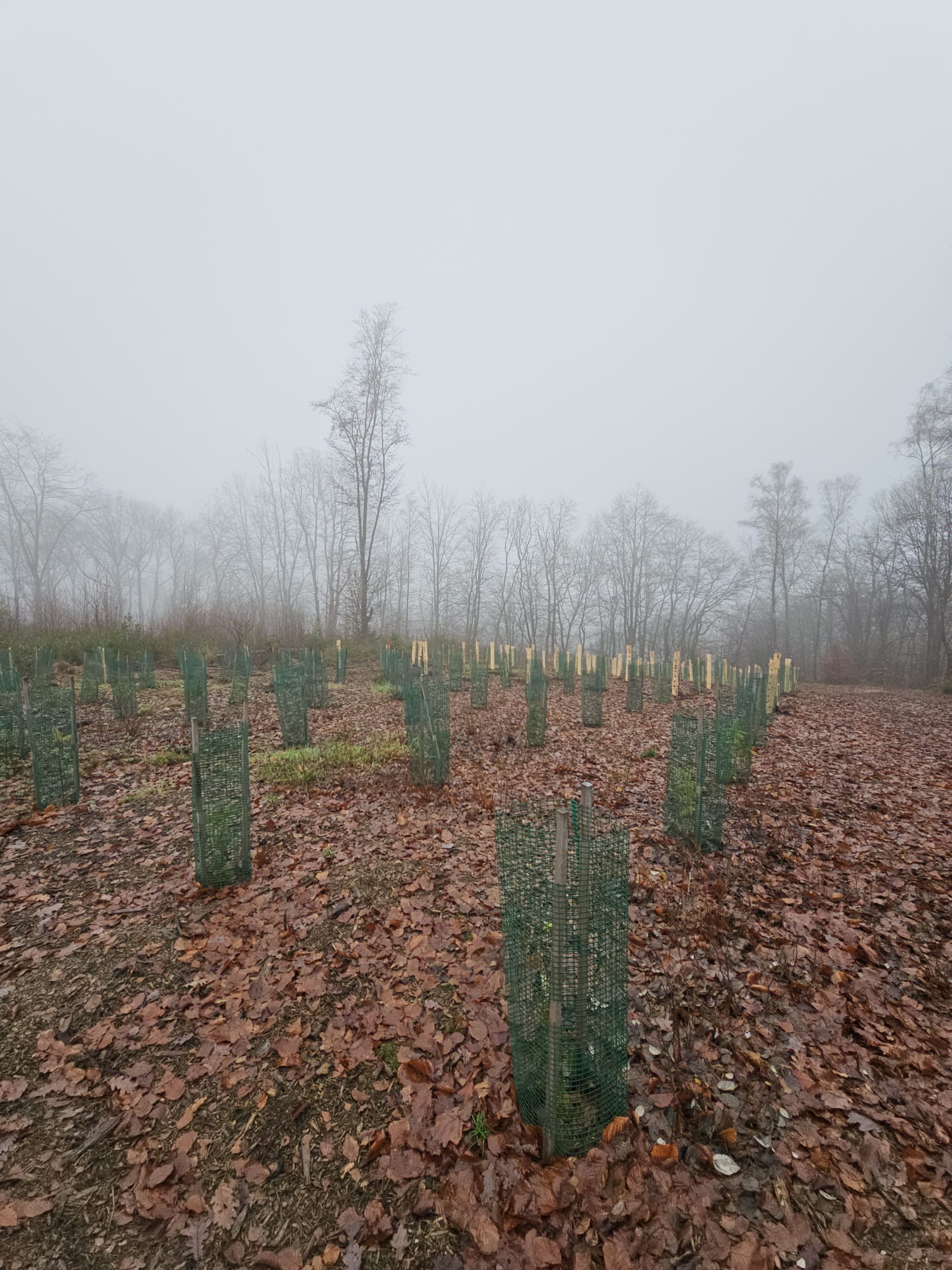 WhatsApp Image 2025-12-14 at 21.28.21 (4)